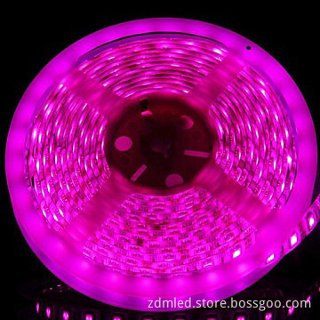 Long lifespan 30led/m 5050 led strip ROHS CE FCC PSE approval